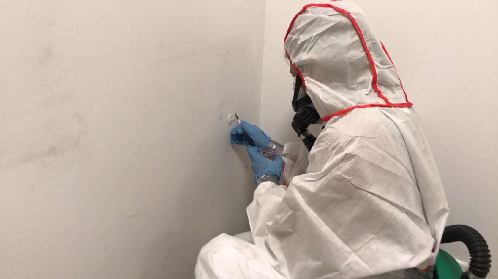Pre Demolition Asbestos Survey Acceo